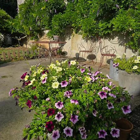 La Grande Glycine Appartamento Coulommiers